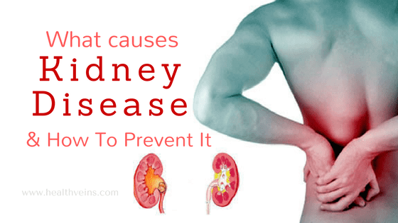 What causes kidney disease and How to prevent it