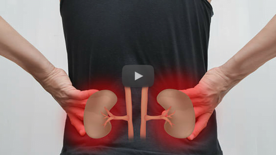 common habits that may damage your kidneys