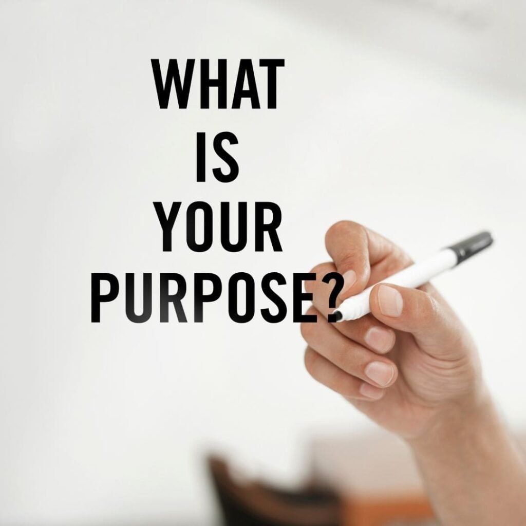 Seek Meaning and Purpose