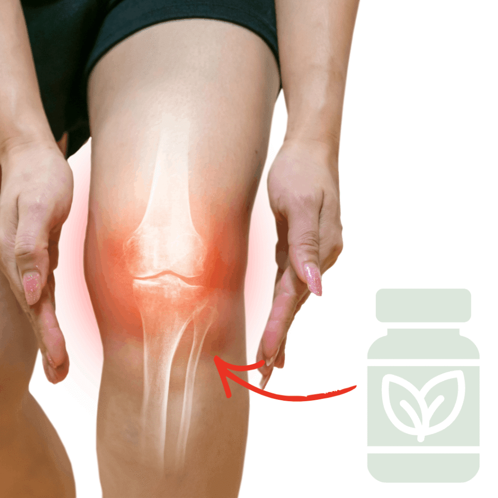 Joint Mobility Supplements (1)